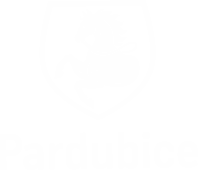 partner