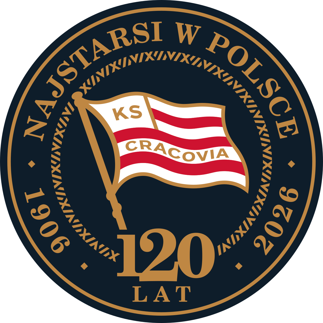 Team logo