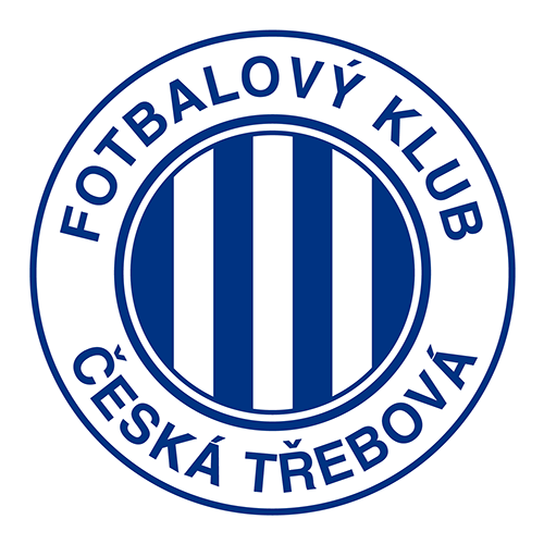 Team logo