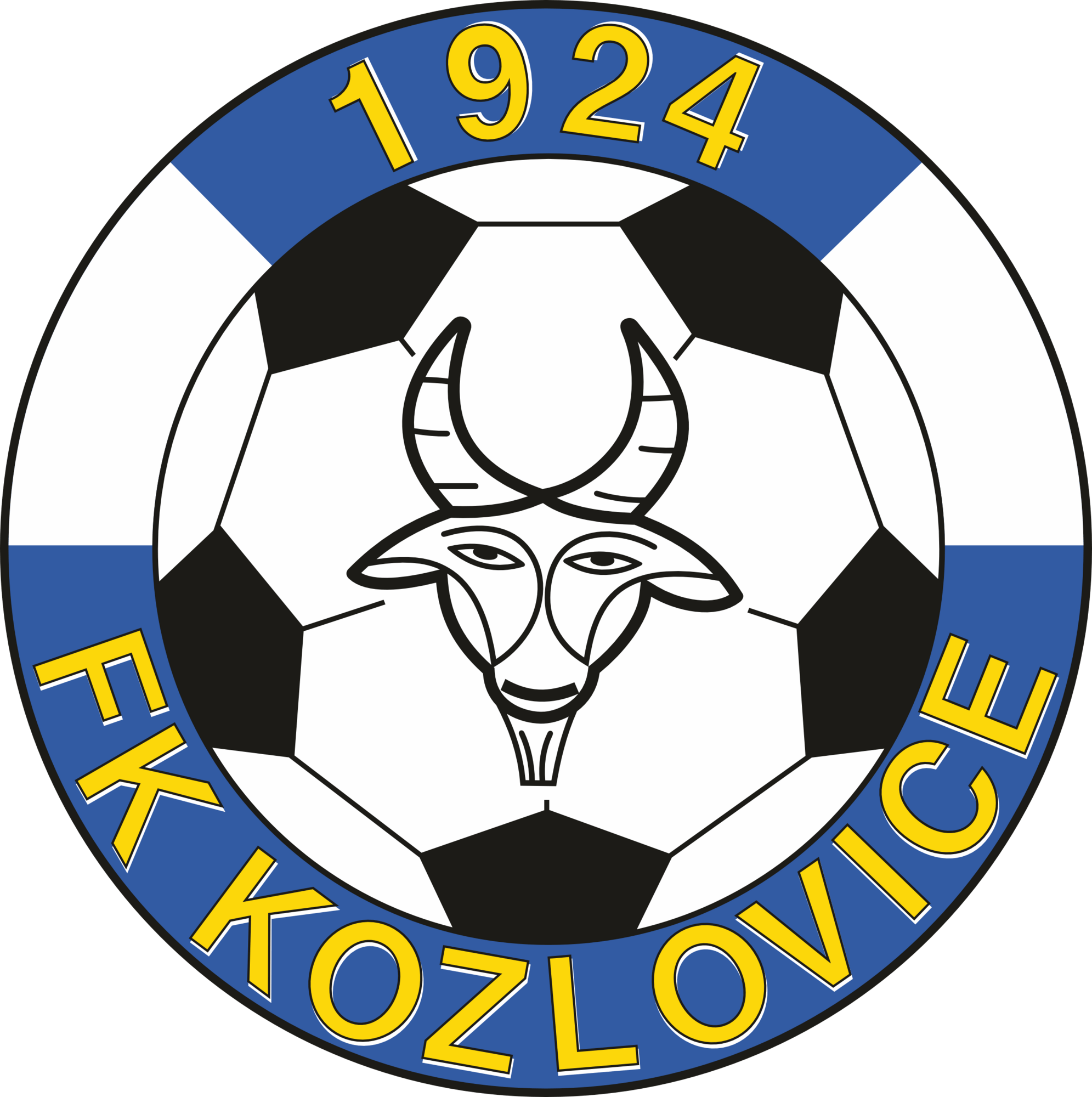 Team logo