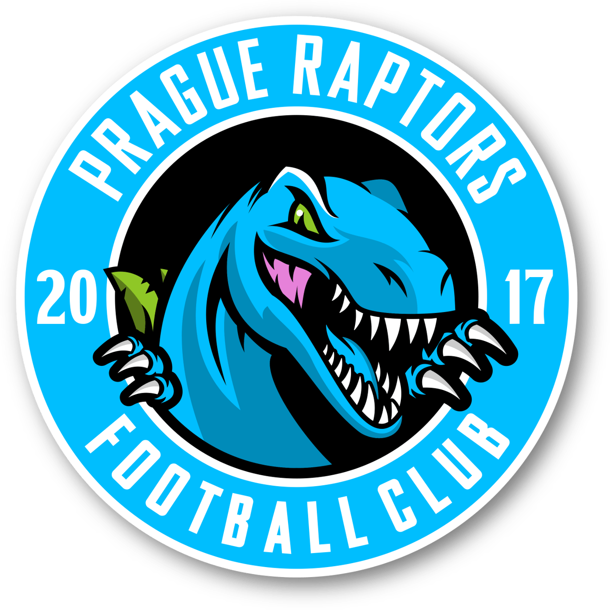 Team logo